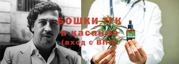 ПСИЛОЦИБИНОВЫЕ ГРИБЫ Арсеньев
