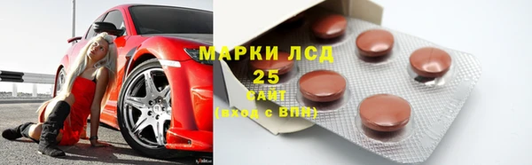 ПСИЛОЦИБИНОВЫЕ ГРИБЫ Арсеньев