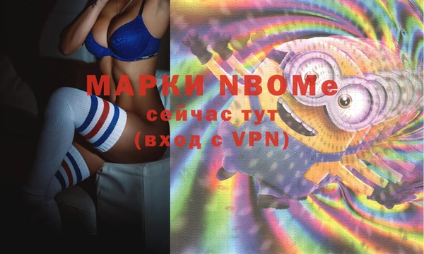 ПСИЛОЦИБИНОВЫЕ ГРИБЫ Арсеньев