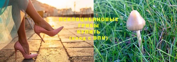 ПСИЛОЦИБИНОВЫЕ ГРИБЫ Арсеньев