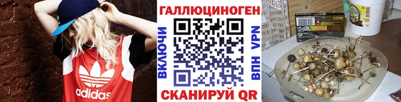 купить   Ревда  Галлюциногенные грибы Psilocybine cubensis 